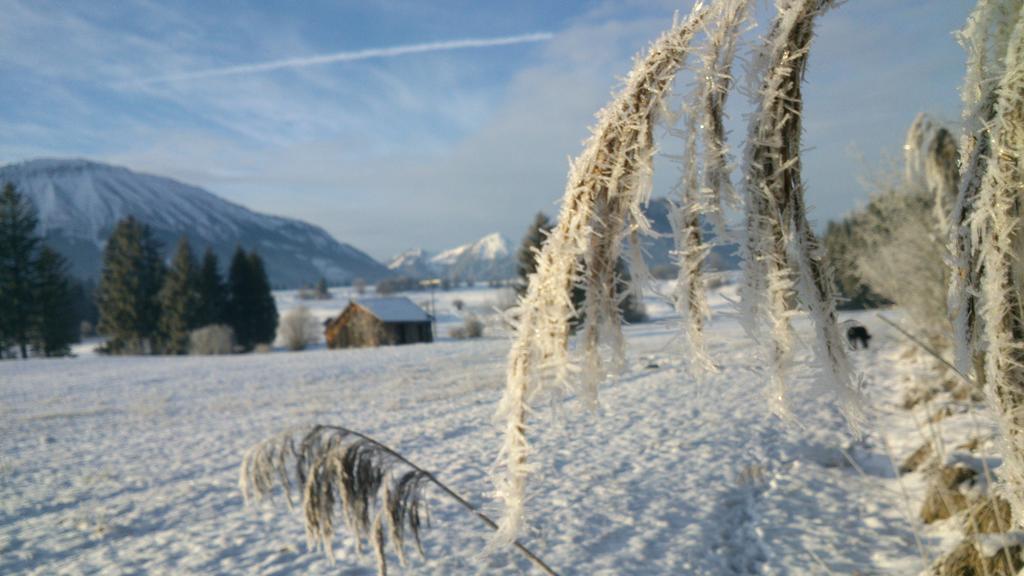 Dreimaederlhaus Am Berg Apartment Pfronten Luaran gambar