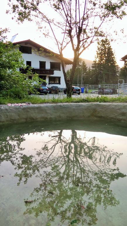 Dreimaederlhaus Am Berg Apartment Pfronten Bilik gambar